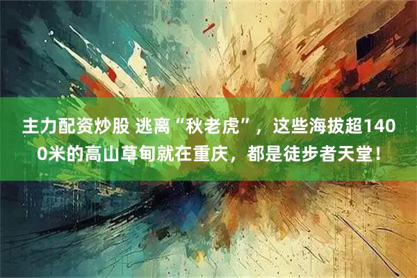 主力配资炒股 逃离“秋老虎”，这些海拔超1400米的高山草甸就在重庆，都是徒步者天堂！
