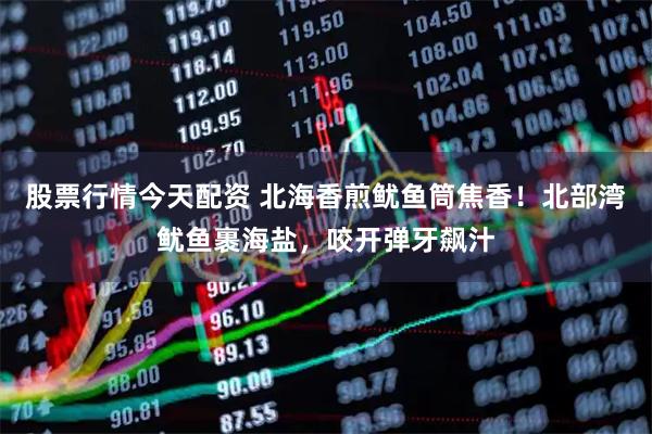 股票行情今天配资 北海香煎鱿鱼筒焦香！北部湾鱿鱼裹海盐，咬开弹牙飙汁