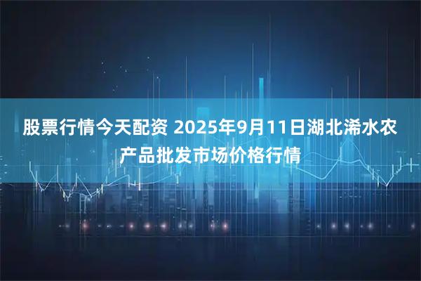 股票行情今天配资 2025年9月11日湖北浠水农产品批发市场价格行情